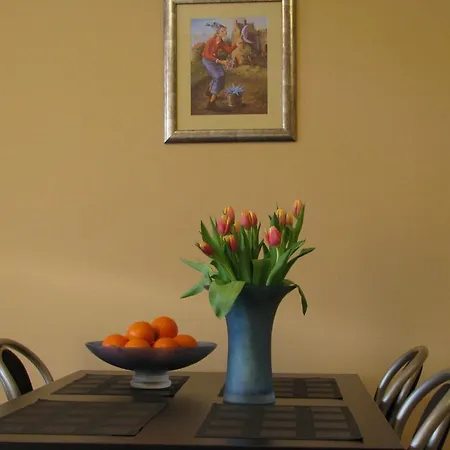 Apartament Mariacka Apartment